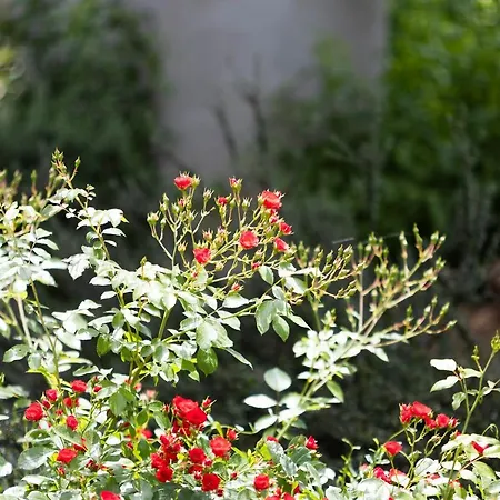 Vallis Rabiosa By Adex Travel * Zadar