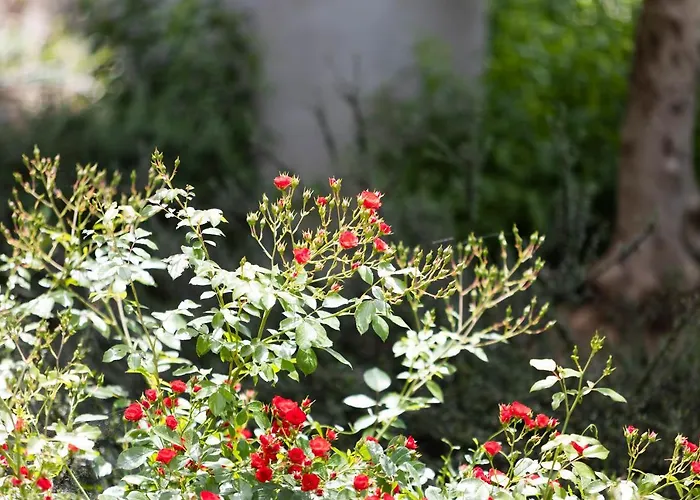 Vallis Rabiosa By Adex Travel * Zadar